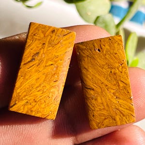 May include: Two rectangular gemstones with a warm, golden-yellow hue and intricate, swirling patterns. The stones have a polished surface, and the natural veining creates a unique, textured appearance. These stones are ideal for jewelry making.