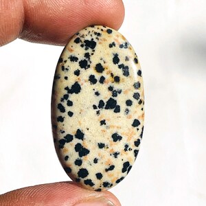 Può includere: Pietra preziosa ovale in diaspro dalmata. La pietra presenta una base color crema con numerose macchie nere. La superficie lucida riflette la luce, evidenziando i motivi e le trame naturali. La gemma è tenuta tra due dita.