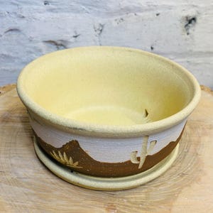 Peut inclure: Un pot en céramique jaune avec un motif de scène désertique brun et blanc. Le pot a un trou de drainage et une soucoupe assortie.