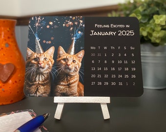 May include: A black and white desk calendar with the text "Feeling Excited in January 2025". The calendar features a photo of two orange tabby cats wearing party hats. The cats are looking up at the camera.