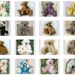 see more listings in the Teddy Bear Patterns section