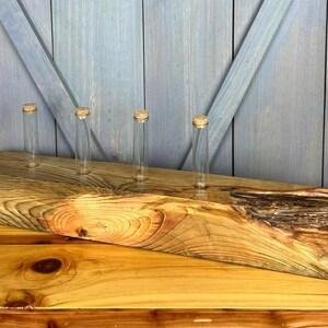 May include: A rustic wooden block with five glass tubes with cork stoppers. The block is a light brown color with dark brown streaks. The tubes are clear glass and are arranged in a row across the top of the block.