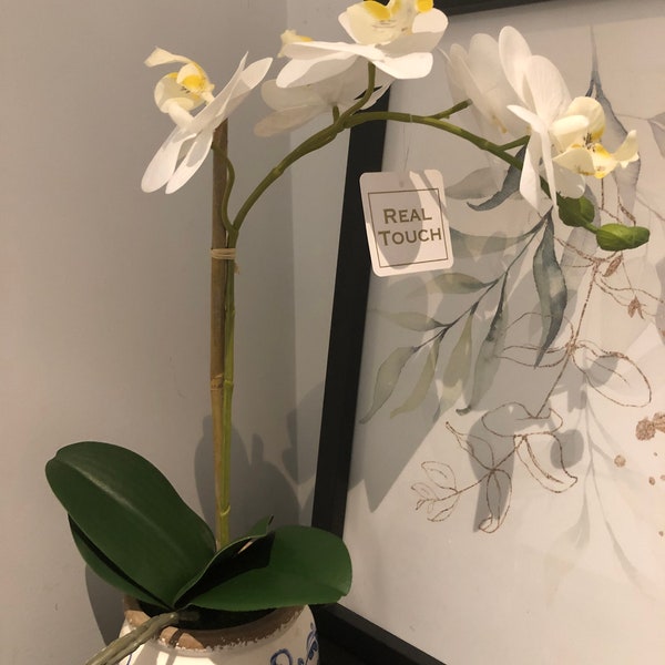 Orchidée artificielle blanche