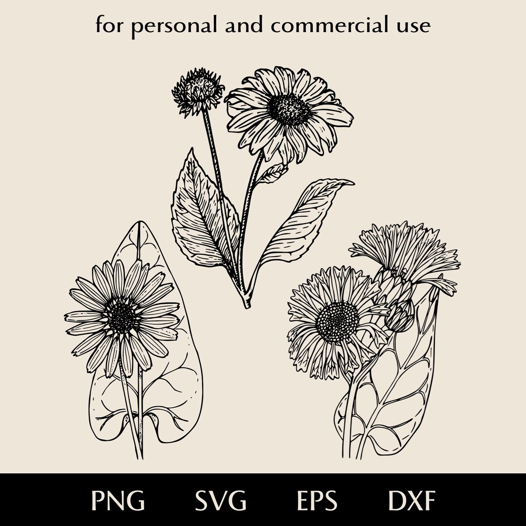 Realistic Lush Sunflowers With Large Leaves SVG Bundle, Disk