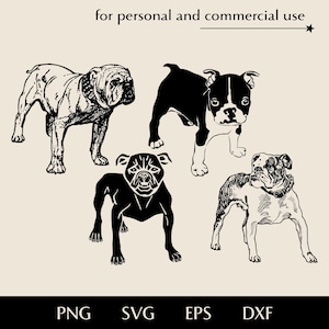 Buldoggen in volledige lengte in verschillende stijlen SVG-bundel, volwassen hond en puppy png, eps, dxf, realistische huisdier print vector, plat gezicht RAS-logo
