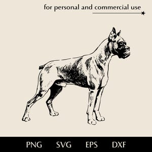 May include: Black and white illustration of a Boxer dog in a standing pose. The image includes the text "for personal and commercial use" at the top and file type options: PNG, SVG, EPS, and DXF at the bottom.