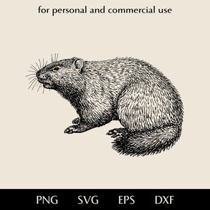 Groundhog SVG, Realistic woodchuck png, eps, dxf, Marmota monax vector, North America native animal clipart, Canada Alaska wildlife logo