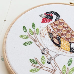 Goldfinch Bird Embroidery Hoop Art Pattern Download image 6