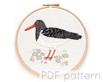 Oystercatcher Bird Embroidery Pattern Download