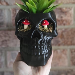 May include: Black skull planter with a green succulent plant growing out of the top. The skull has red and white mushroom decorations in the eye sockets.