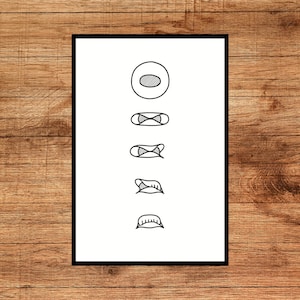 Dumpling Wrapping Diagramm Minimalistischer Kunstdruck | Jiaozi Gyoza Mandu Anleitung Original Asiatisches Plakat