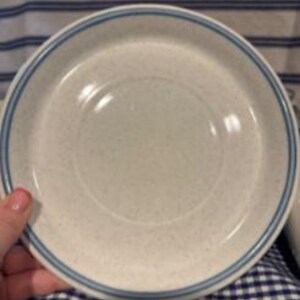 May include: A white saucer with a blue rim. The saucer has a speckled texture.