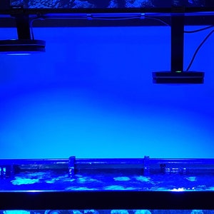 May include: Two blue LED lights are mounted above a blue aquarium tank. The lights are suspended from the ceiling and are connected to wires. The tank is filled with water and has a black rim.