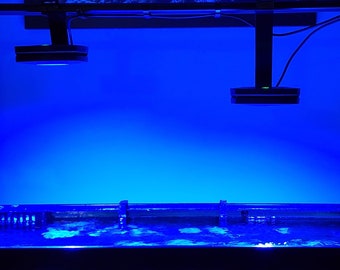 AI Prime 16HD HMS Mounting Bracket - Aqua Illumination Light Mount for HMS Rail | 3D Printed