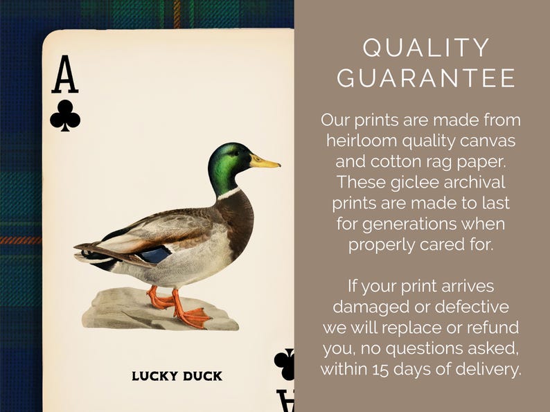Mallard Duck Art Print – Lucky Duck Ace Playing Card, Hunting Lodge Wall Decor image 8