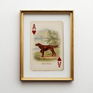 Impresión de As de Corazones de Setter Inglés: Arte de perro de caza con naipes vintage, decoración del oeste con dinero antiguo, regalo rústico americano para papá, estilo vaquero