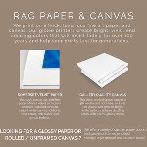 May include: The image showcases fine art paper and canvas options. Text reads "RAG PAPER & CANVAS" and describes Somerset Velvet Paper and Gallery Quality Canvas. The image highlights the paper's velvet surface and the canvas's archival quality.