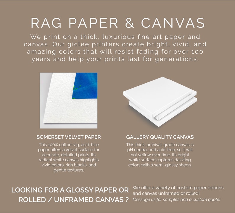 May include: The image showcases fine art paper and canvas options. Text reads "RAG PAPER & CANVAS" and describes Somerset Velvet Paper and Gallery Quality Canvas. The image highlights the paper's velvet surface and the canvas's archival quality.
