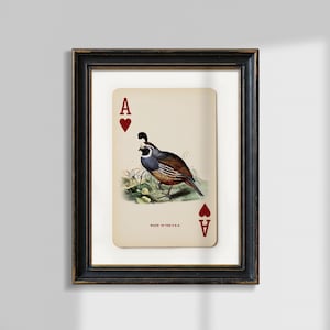 Caille de Californie vintage as de coeur impression - décoration de cartes à jouer rétro, esthétique vieil argent, affiche d'art Western gibier à plumes, cadeau pour papa