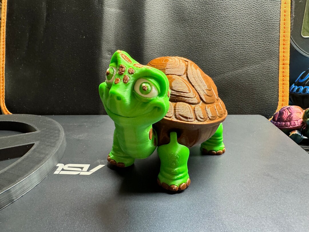 Flexi 3D Printed Turtle Box - Etsy