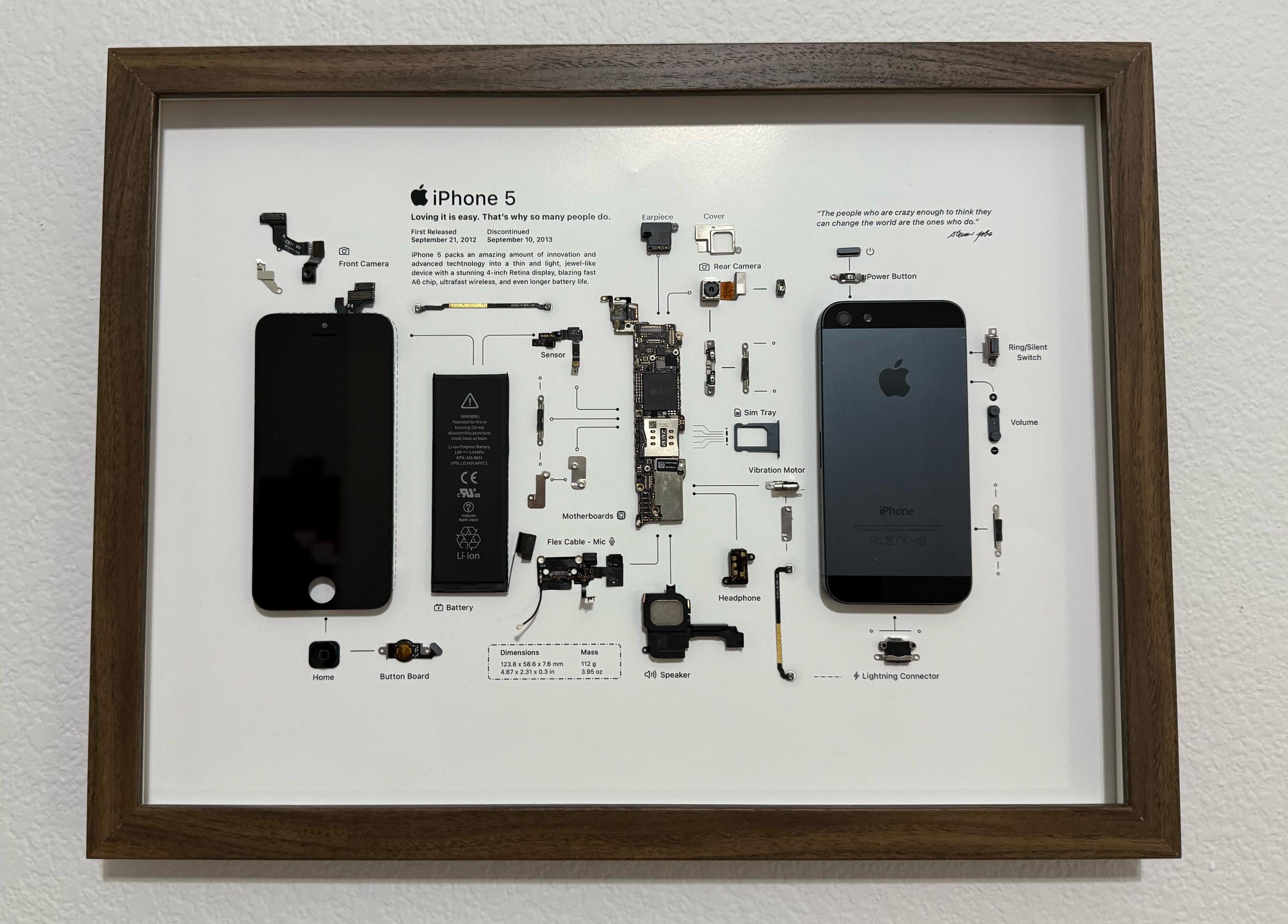 iPhone 5 Black 標本アート ボックスフレーム仕様 iPhone 5 Black 標本アート ボックスフレーム仕様