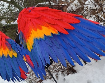 XL Movable Scarlet Macaw Wings for Cosplay Costume and Photoshoots photo Props parrot Wings Etsy UK