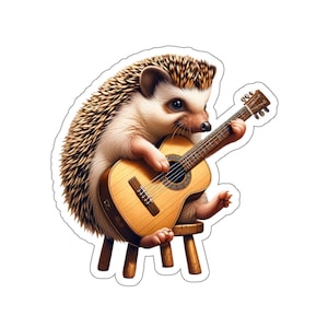 Gitaar Hedgehog sticker//Ierse muziek sticker voor instrumentenkoffer, laptop of waterfles