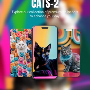Set Of 5 Cats Theme iPhone Samsung Smartphone Wallpaper Background Instant Digital Download For All Mobile Devices