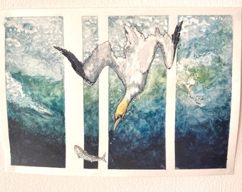 GANNET WATERCOLOUR PORTRAIT