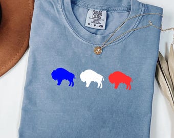 Vintage Buffalo Football T-Shirt: Comfort Colors Game Day Buffalo Tee