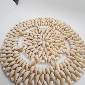 Sea Shell trivet round beach decor