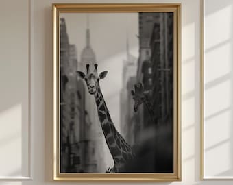Funny Giraffe in City Black and White Photography Print (Digital Download)