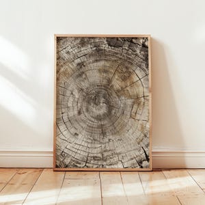 May include: A set of three ceramic mugs with a speckled, matte finish. The mugs are in shades of cream, light gray, and dark gray. Each mug has a simple, minimalist design, perfect for coffee or tea.