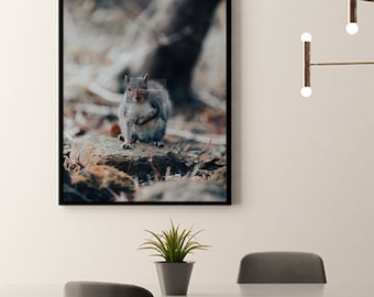 Eekhoorn in het bos fotoprint - prachtige kunst aan de muur van hoge kwaliteit