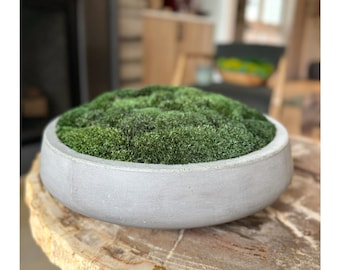 Concrete Moss Bowl 13", 17" or 22” Restoration Bowl - Gray Cement Moss Dough Bowl Centerpiece Moss Art Preserved Mood Pole Moss Arrangement