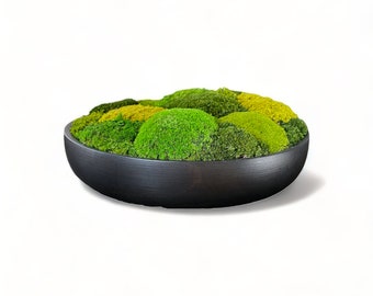 Wood Moss Bowl 12" - Modern Decorative Bowl - Moss Dough Bowl Centerpiece Moss Wall Art Preserved Mood Pole Moss Arrangement