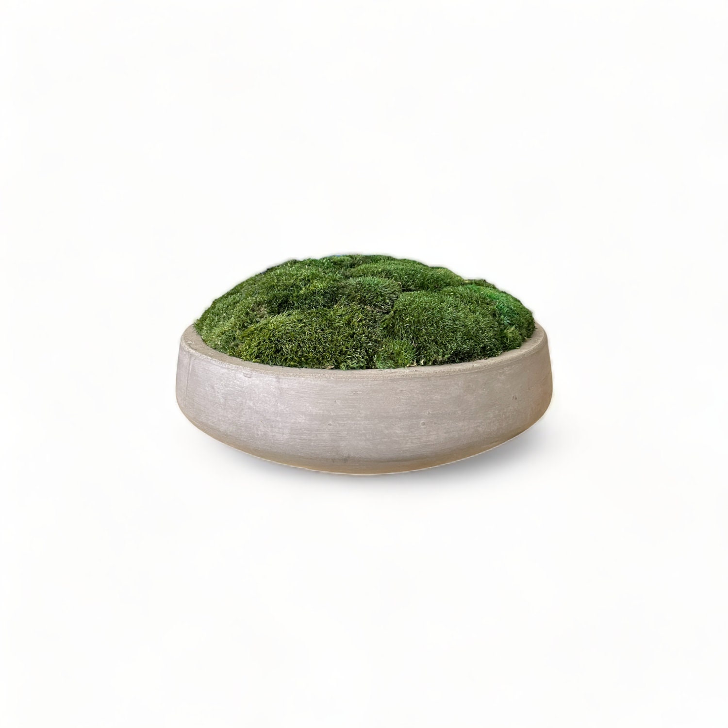 Concrete Moss Bowl 13 Restoration Bowl Gray Cement Moss Dough Bowl Centerpiece Moss Art