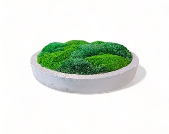 Concrete Moss Bowl 14" - Low Profile - Gray Cement Moss Bowl Centerpiece Moss Wall Art Preserved Mood Pole Moss Arrangement