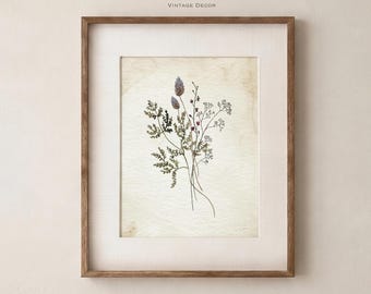 Gravura botânica vintage, arte de flores silvestres, decoração estilo cottagecore (sem moldura)