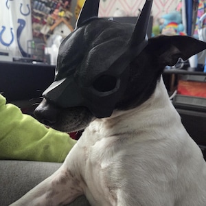 Dog Mask