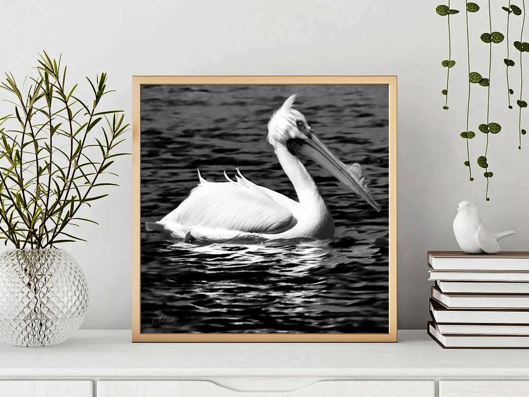 Pelican Oil Painting Digital Download/pelican/digital Download/oil