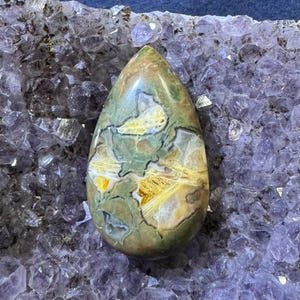 Rainforest Jasper Cabochon