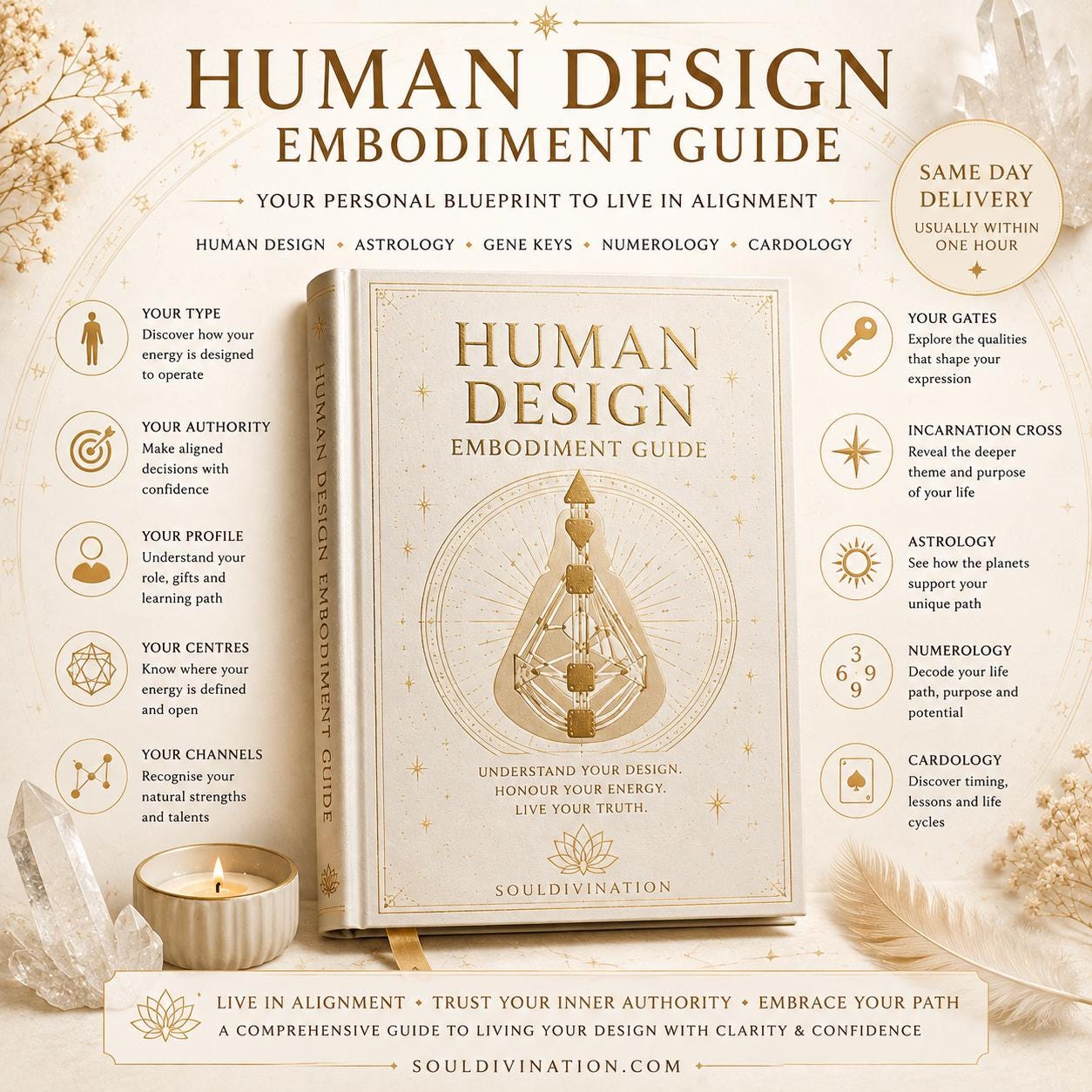 Human Design Reading | Personalised Human Design PDF, Type, Authority, Profile & Energy Blueprint