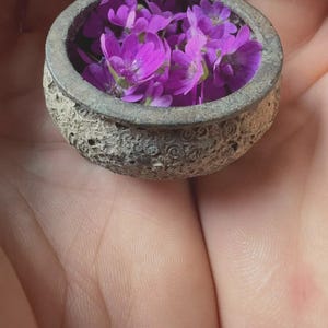 May include: A small, round, grey stone bowl with a rough, porous, and textured exterior surface. The interior of the bowl is filled with several vibrant purple flowers with delicate petals, creating a contrast between the natural stone and the blooms.