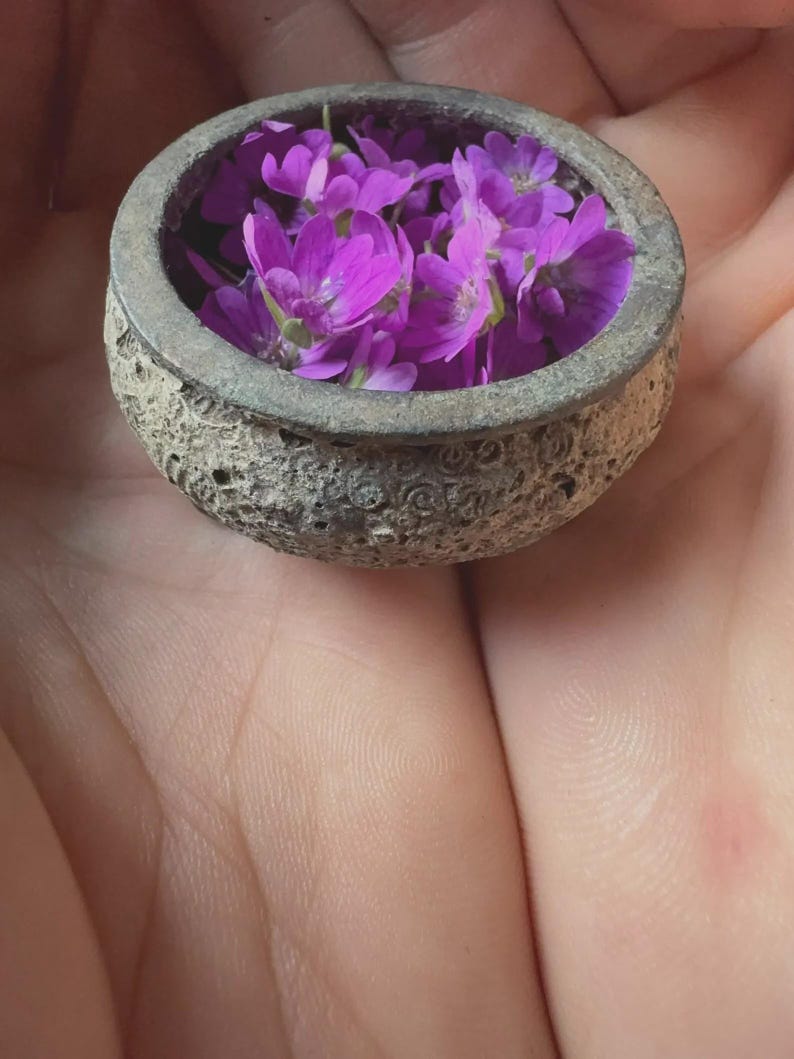 May include: A small, round, grey stone bowl with a rough, porous, and textured exterior surface. The interior of the bowl is filled with several vibrant purple flowers with delicate petals, creating a contrast between the natural stone and the blooms.