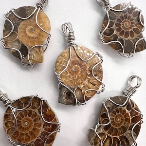 Ammonite Fossil Pendant Necklace Wire Wrap One of a Kind