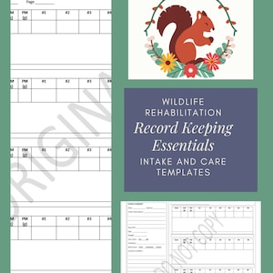 May include: Printable wildlife rehabilitation record keeping templates with a squirrel illustration. The templates include intake summary, daily care, and medication log sections.