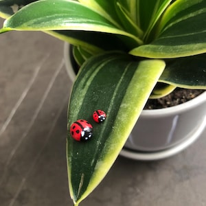 May include: Two small, round, red ladybug figurines with black spots and white accents resting on a long, pointed green leaf with yellow edges. The leaf belongs to a plant potted in a smooth, light gray ceramic container.