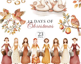 12 dagen kerst clipart | Aquarel kerst PNG | Patrijs in een perenboom, tortelduiven, gouden ringen en kerstillustraties