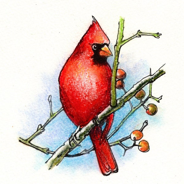 A Radiance of Cardinals: Design #3, edition #4.  An original colored pencil & pastel painting on my ink design printed on watercolor paper.